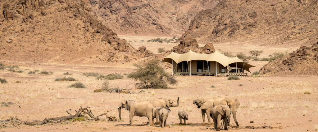 Hoanib Skeleton Coast 2014 08 319e 1